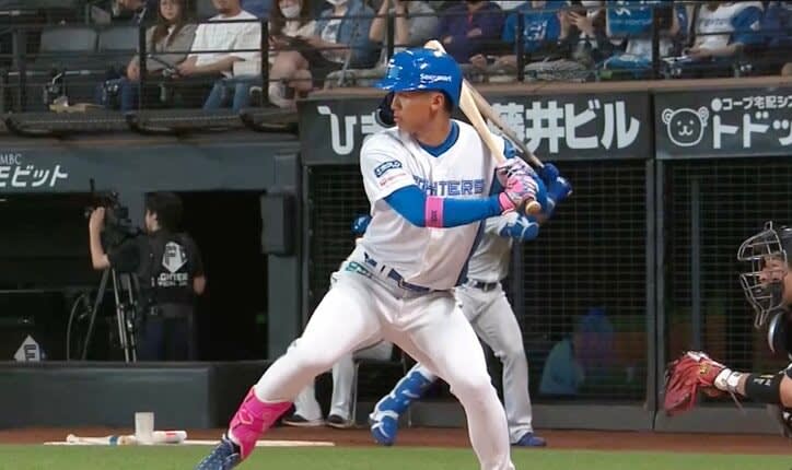 Will it work for Japanese baseball?Is the weak point the in course?"MLB reverse import rookie" who finally took off the veil.