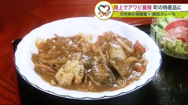 “Abalone”, a high-class ingredient, farmed “on land” A new specialty of the town … Exquisite curry with whole ingredients is also popular Natural products …