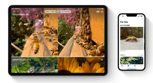 Apple will end the My Photo Stream feature on iPhones and Macs on July 7th.don't forget to save the photo