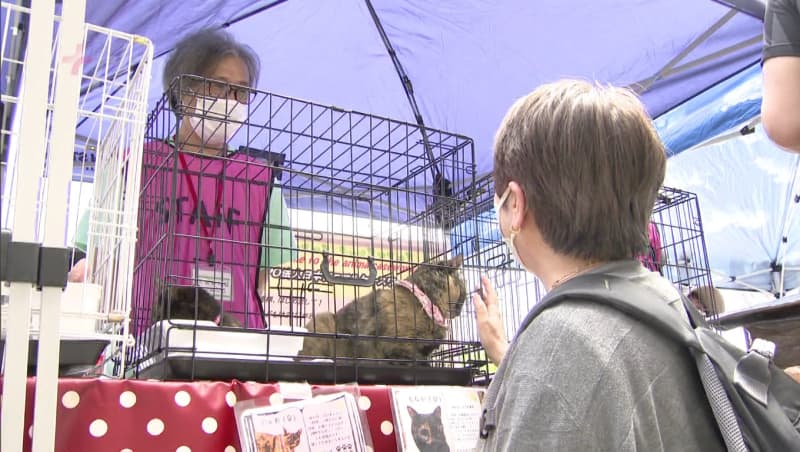 “Know the importance of life” Transfer event for rescued dogs and cats Held at Aeon Mall Yahatahigashi in Kitakyushu