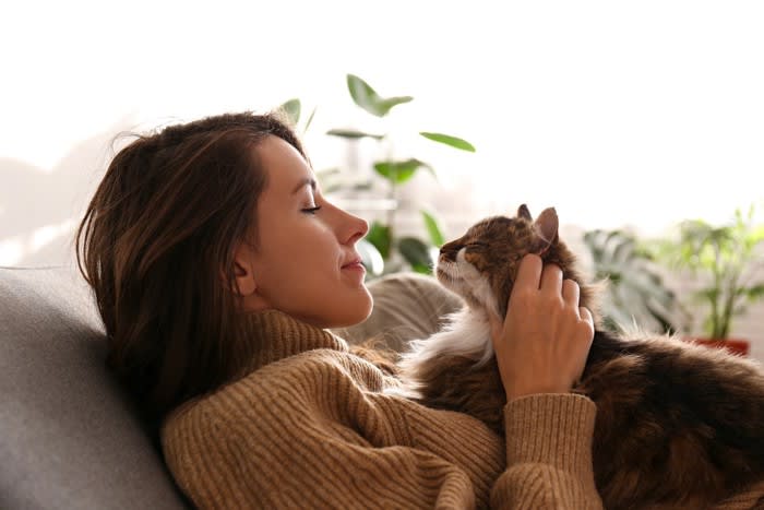 Five points to note when living alone with a cat