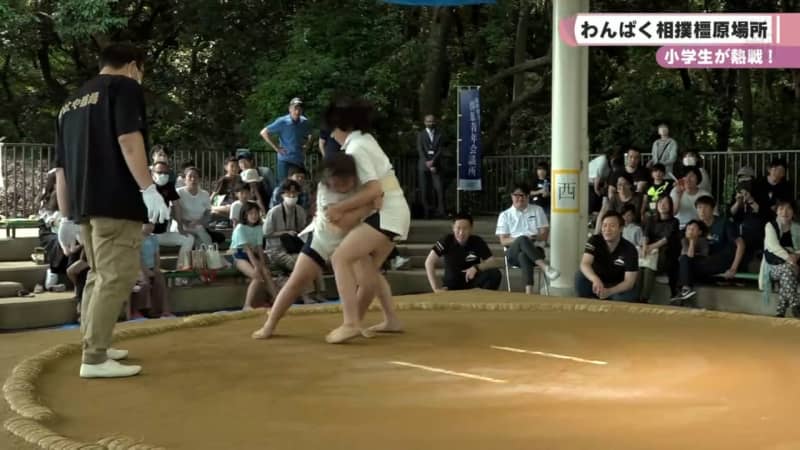 Elementary school students are fighting hard!Naughty Sumo Kashihara Place