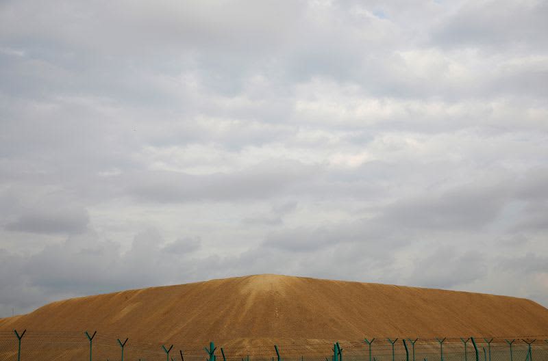 Indonesia lifts ban on sea sand export for first time in 20 years
