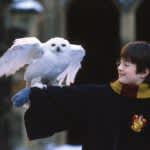"Harry Potter and the Philosopher's Stone" to be screened in theaters!Screened at Dolby Cinema for the first time in Japan