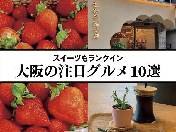 [Osaka] 3 sweets shops ranked in!5 Must-Try Gourmet Foods in Osaka