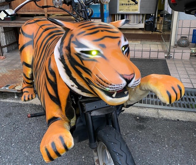 A mysterious motorcycle standing in front of a real estate company...what is it? Astride the hard and cold back of the "tiger", in fact...