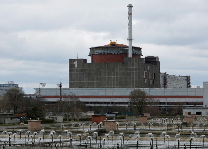 IAEA Director General Calls for Respect for Principles to Protect Zaporozhye NPP