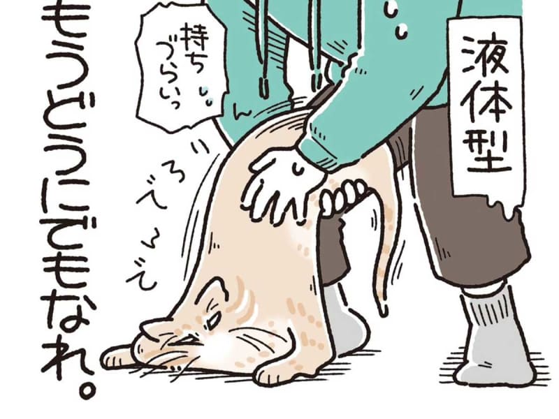 A cat that refuses to be picked up because of its mood.