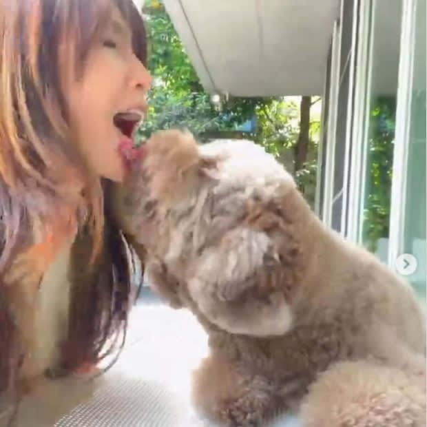 Shizuka Kudo's playful video with her dog is a big response "I'm happy to see you"
