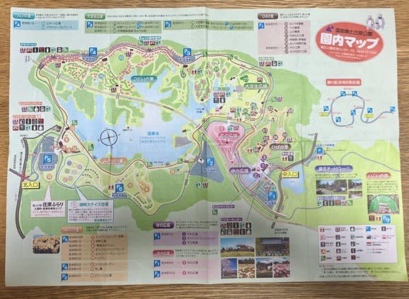 [Shobara City, Hiroshima Prefecture] Cycling is recommended if you want to fully enjoy the spacious park♪ [National Bihoku Hillside Park]