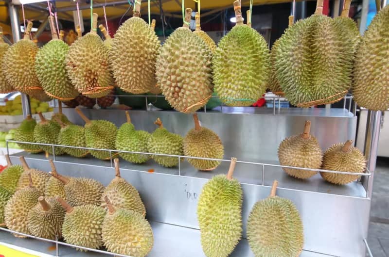 Unexperienced taste!The story of a celebrity whose family started a durian orchard [Kaori Shinohara]