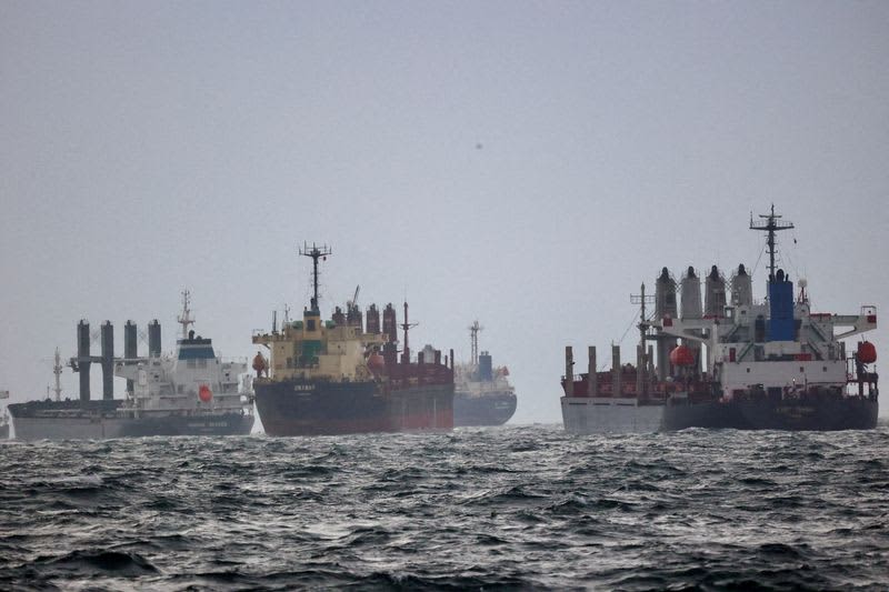 UN proposes work on ammonia transport over Black Sea grain deal: sources