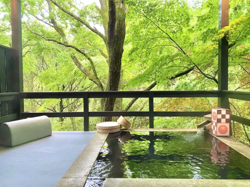 [Beautiful inn surrounded by fresh greenery] Enjoy forest bathing at KAI Aso in Senomoto Onsen, Oita | Hoshino Resort Accommodation