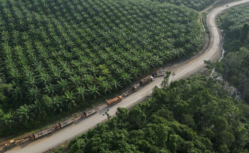 Indonesia, Malaysia to freeze trade talks with EU over palm oil regulation