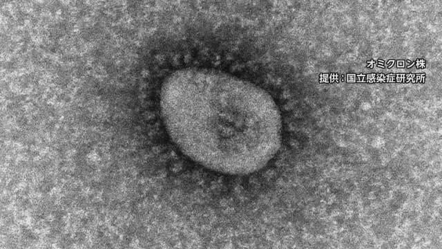 〈速報〉新型コロナウイルス　定点あたりの報告数は「４ ．２７ 」前週の ０．７倍に減少【新潟】