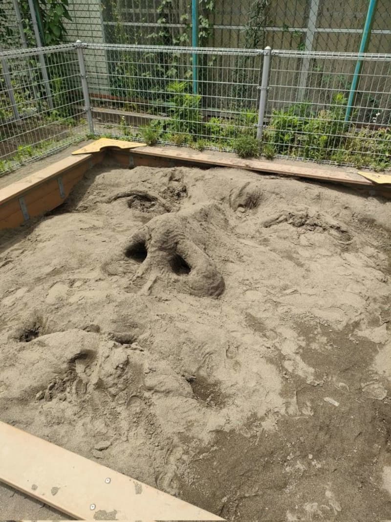 Who on earth?For what?Pursue the mystery of the "huge face" that appeared in five sandboxes in Tokyo