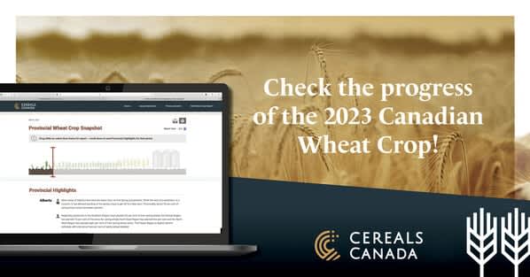 Cereals Canada Releases 2023 Parenting Status Report