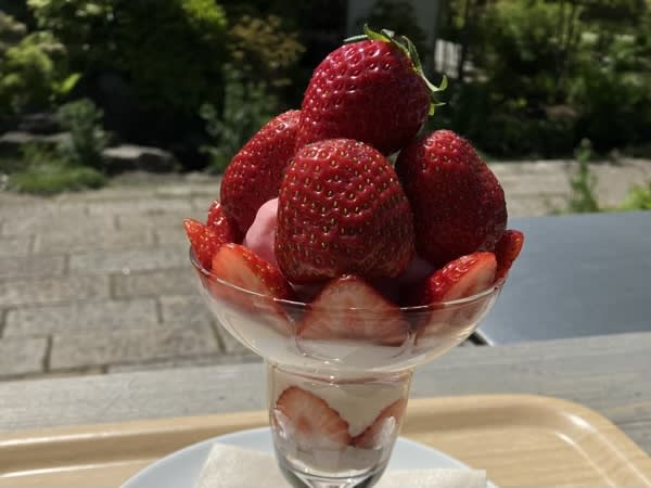 A cafe where you can enjoy seasonal fruit parfaits while watching Mt. Fuji in Yamanashi