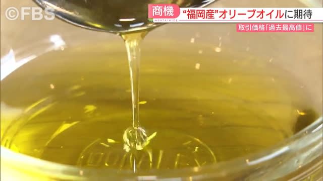 Tables and restaurants are screaming at the highest price of olive oil ever