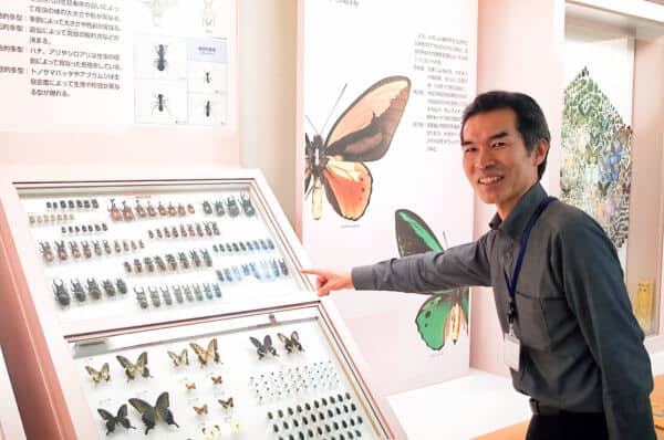 倉敷市立自然史博物館 ～ 1983年の開館から40年。昆虫・植物などの資料を100万点以上収蔵…