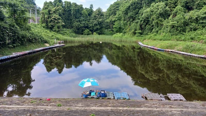 ヘラブナ釣りの池に70代男性転落　病院搬送時意識なし　岩手・奥州市　「深いところで4ｍある」
