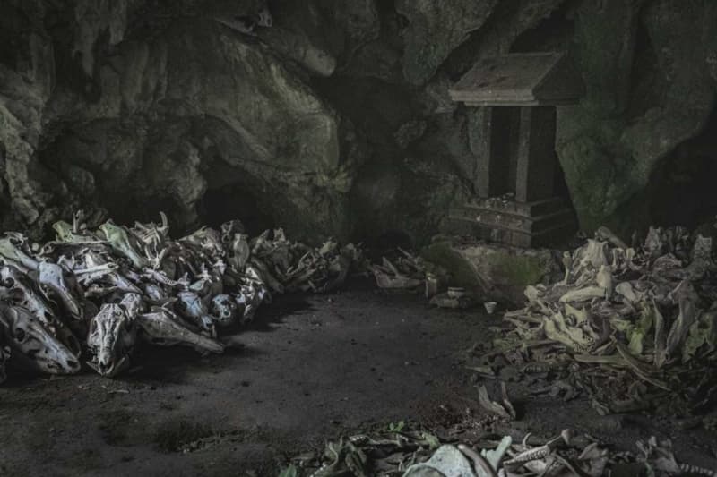 ``I felt like I was lost in the underworld.'' A ``mountain cave'' full of skulls was discovered → What is this place? …