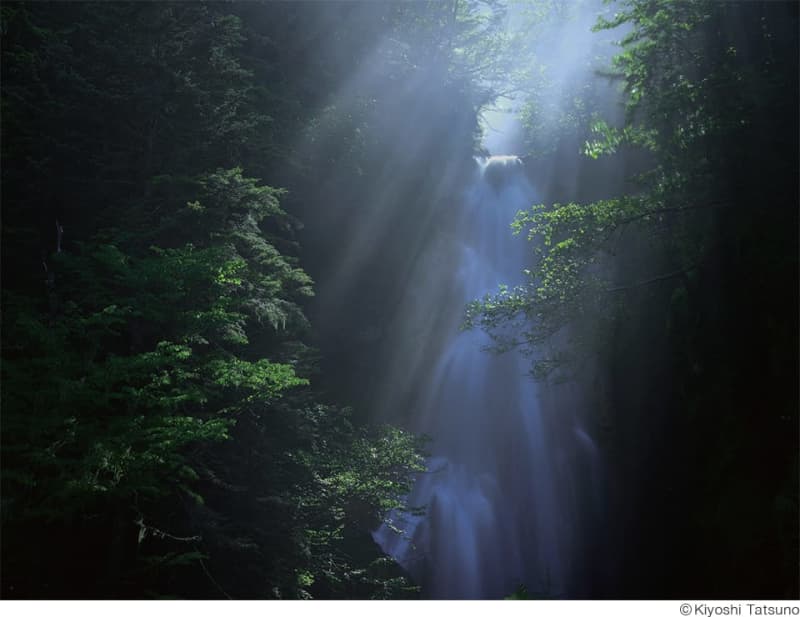 自然と出合って気づく感動がある 辰野清写真展「風雅巡礼」