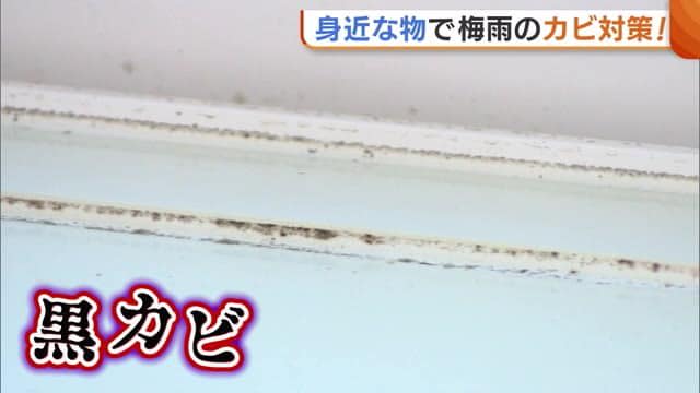 Ask a cleaning professional!“Mold measures” in the rainy season Essential items are “wrap” and “masking tape” [Niigata]