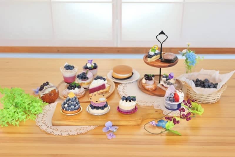 [Tomiya City, Miyagi Prefecture] Tomiya Blueberry Sweets Fair 2023 will be held!