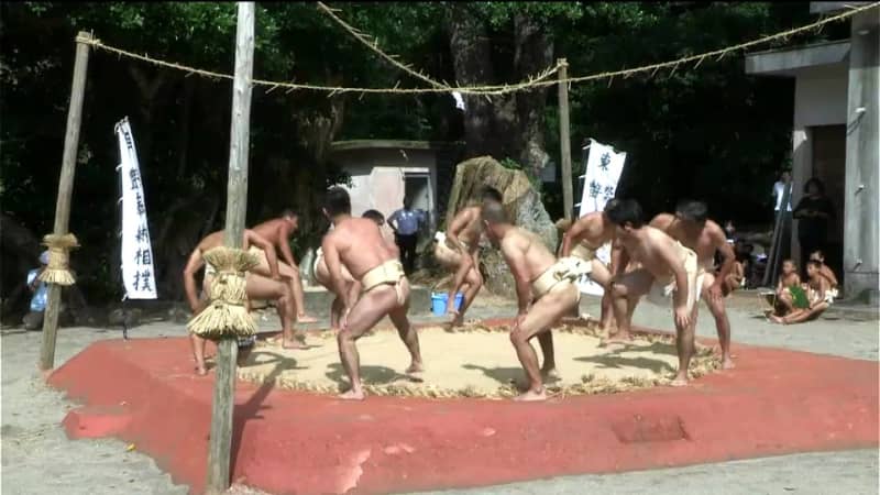 Sumo wrestling rooted in the culture of Amami, the island with the most sumo rings in Japan, will be held at the Kagoshima National Sports Festival in XNUMX days
