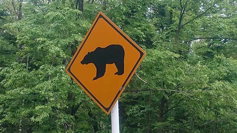 そんな動物まで！？北海道らしい「動物注意」標識をまとめてみた