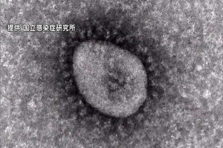 新型コロナ2週連続増加「RSウイルス」にも注意　福島・5日発表