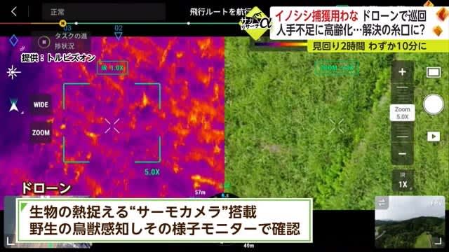 Trap for capturing wild boar Demonstration experiment of automatic patrol by drone Could it be a clue to solve labor shortage and aging population? 【Saga Prefecture】