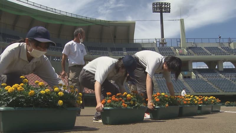 Preparing for the opening of the summer high school baseball tournament in Tochigi "Set the stage for baseball players"