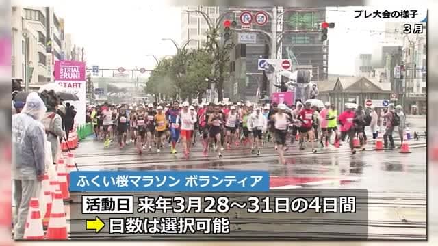 Fukui Sakura Marathon Volunteer Recruitment First 3500 people, until November 11 [Fukui]