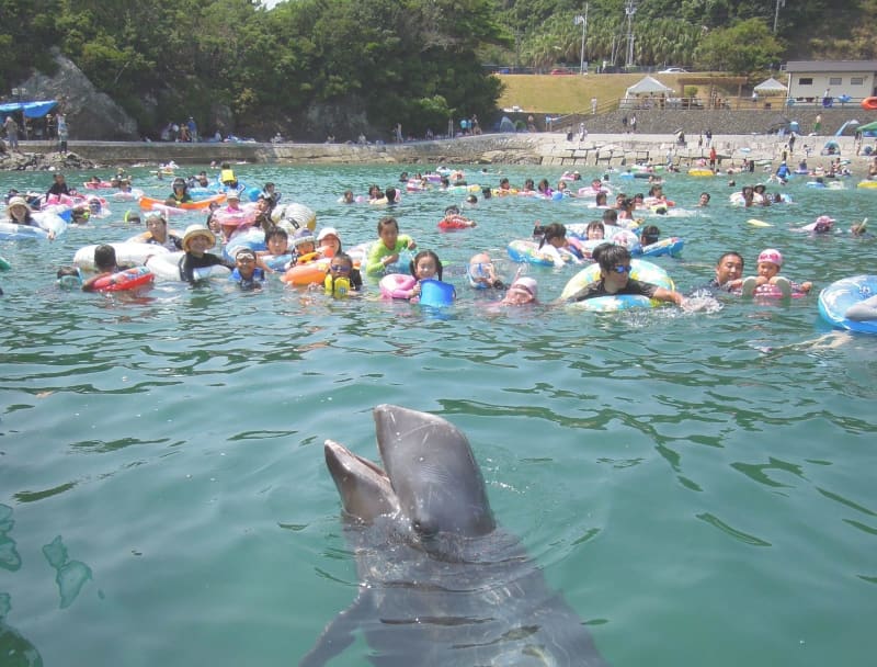 Wakayama Nanki Katsuura Onsen "Kujirahama Beach" opens on July 7!Swim with whales! ? "Kyukamura Nanki Katsuura"
