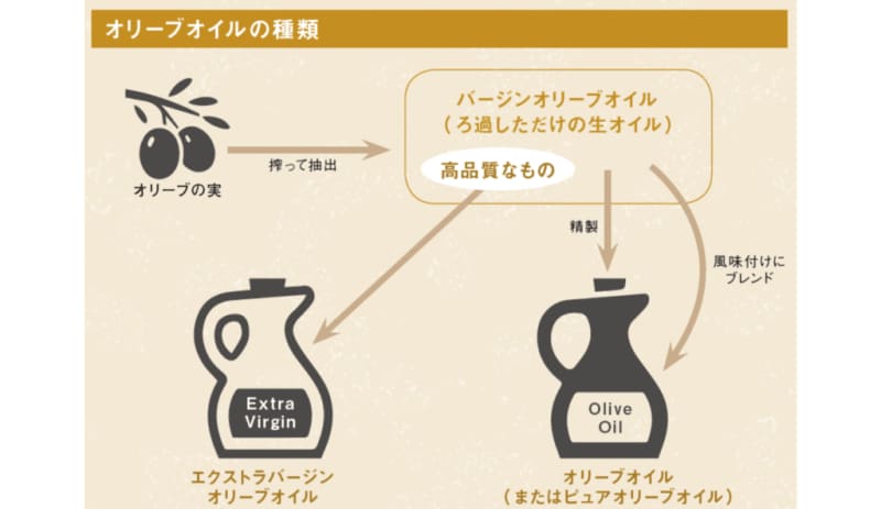 What is the difference between “extra virgin” olive oil and regular olive oil? [Illustrated story of lipids]