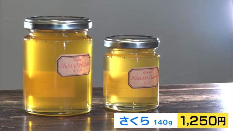 [Niigata Gourmet] The amount of honey collected by honeybees over a lifetime is only 1 teaspoon Gratitude and affection for bees...