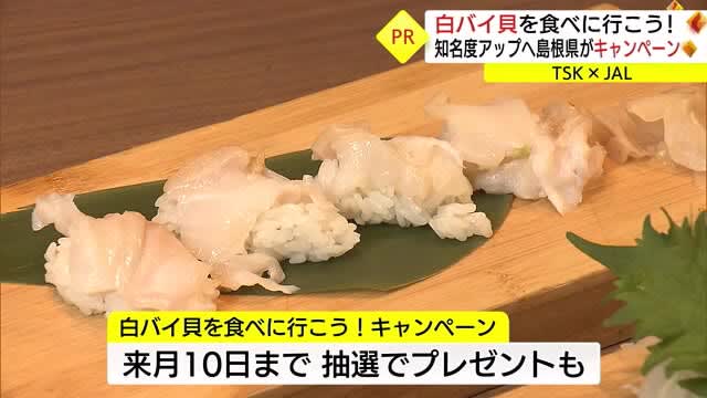 【TSK×JAL】隠れた特産「白バイ貝」を食べに行こう！ユニークキャンペーンでPR（島根・松江市）