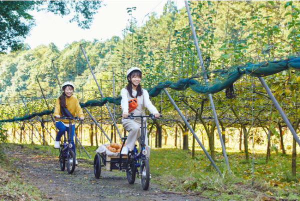 星野リゾート　BEB5土浦　自転車に乗って目指すは秋が旬の梨農園！「梨狩りサイクリング」を今年も開催