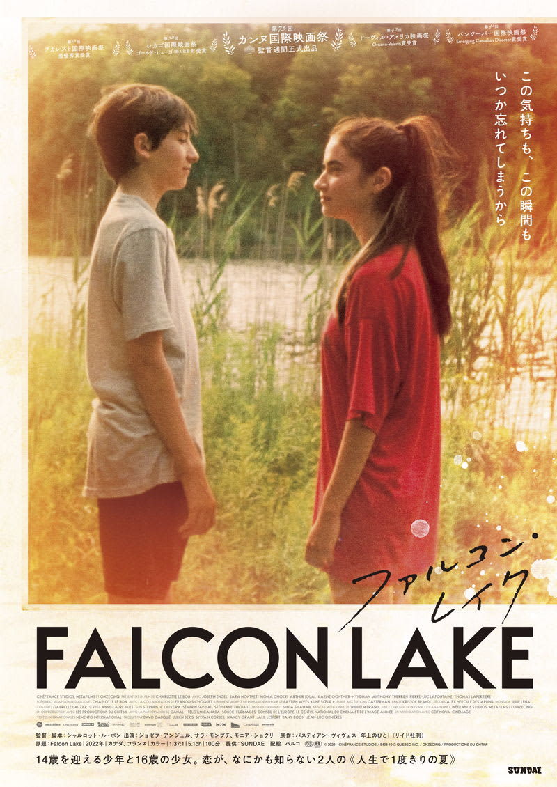 Water skiing, chasing on the meadow A summer of a 14-year-old boy and a 16-year-old girl “Falcon Lake…