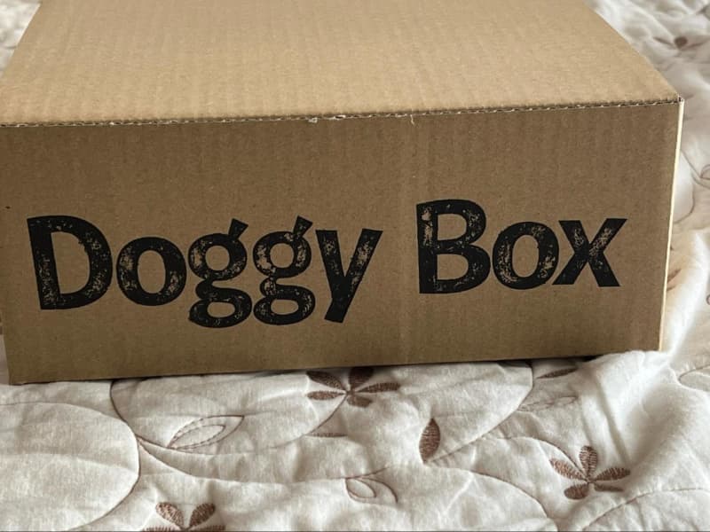 A gift for your dog! "Doggy Box" is a special gift where you can enjoy toys and snacks