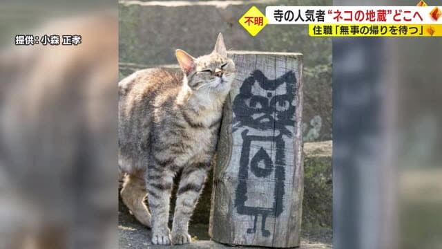 "Cat Jizo-san" The popular person at the temple has disappeared!Priest: "If you stole it, you don't have to come forward. Give it back." Kannami-cho, Shizuoka