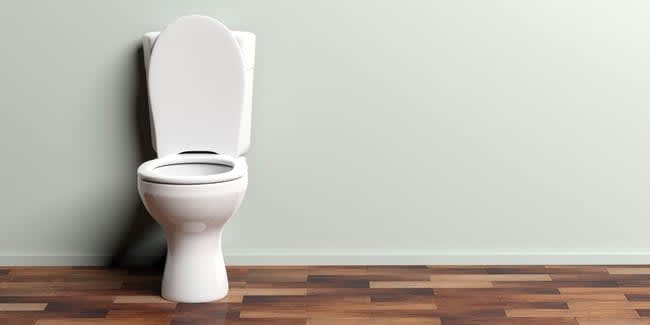 3 features of the "worst toilet"!What are Feng Shui taboos and elements to incorporate?