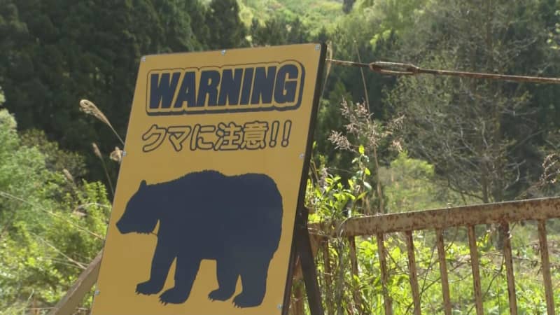 [Bear sighting information] Bear sighting on Mt.