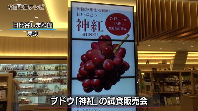 The governor promotes Shimane's original grape "Shinko" Developed after more than XNUMX years of research in Shimane Prefecture It has a high sugar content and is similar to black tea...