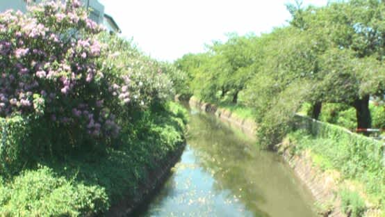 Take Me Home, Country Roads -Looking Back on Showa Days with Kirin Beer-