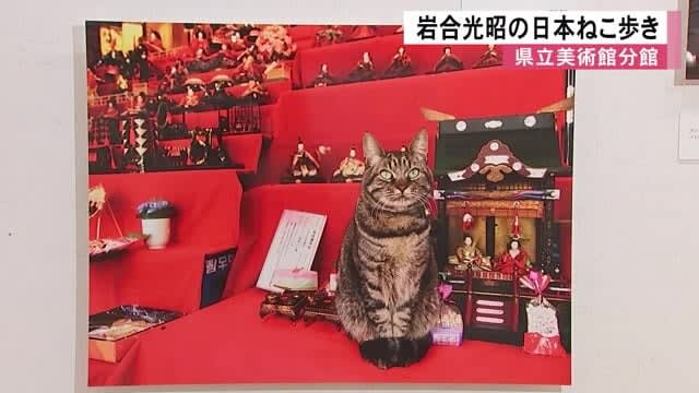 Photo exhibition "Mitsuaki Iwago's Japanese Cat Walk" begins at the Prefectural Museum of Art