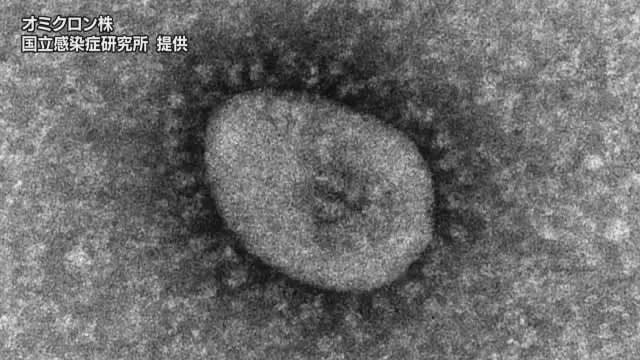 New Corona Level close to warning in Saijo Public Health Center area Increase in prefecture for XNUMX consecutive weeks [Ehime]