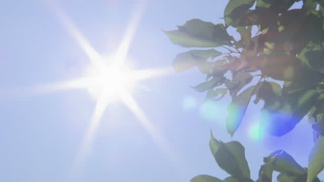 ⚡ ｜ [Breaking news] Extremely hot days in various places such as Takamatsu Kagawa